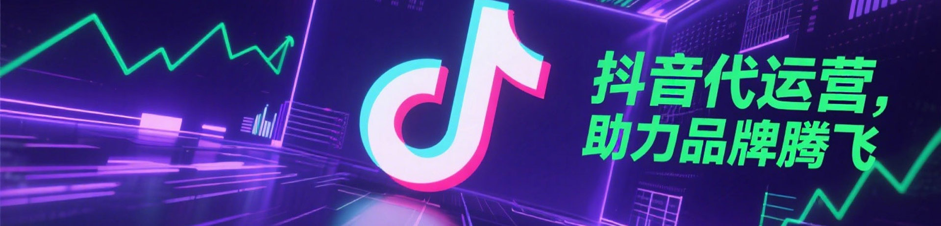 ���������Ż�